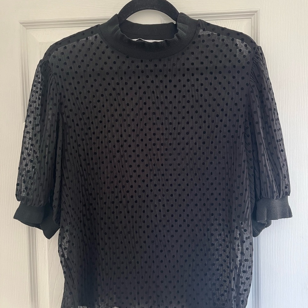 Zara Sheer Black Blouse